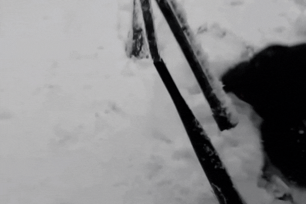 A gloved hand raises frozen windshield wipers off a snow-covered car during a heavy snowfall, illustrating harsh winter conditions in Colorado.